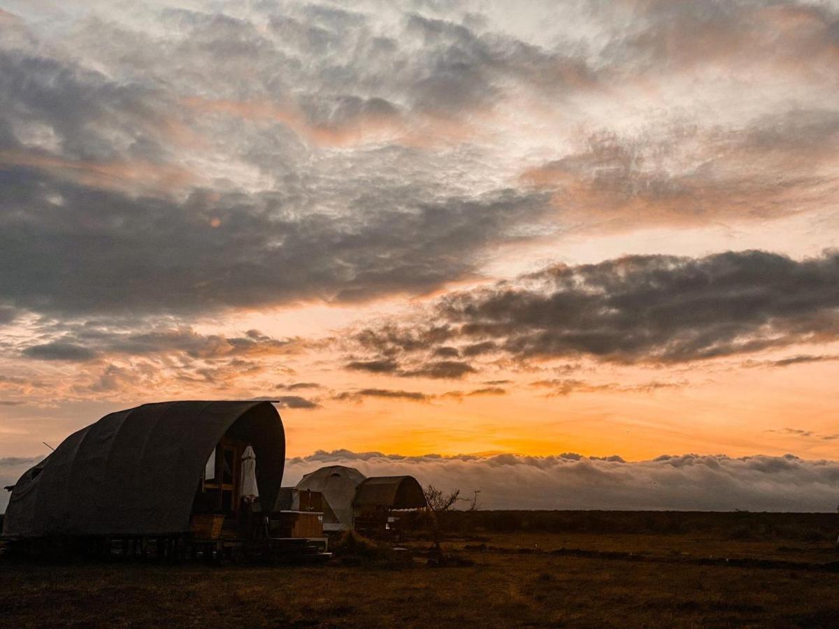 Amanya 1 -Bed King Lion Tent Amboseli Exteriér fotografie